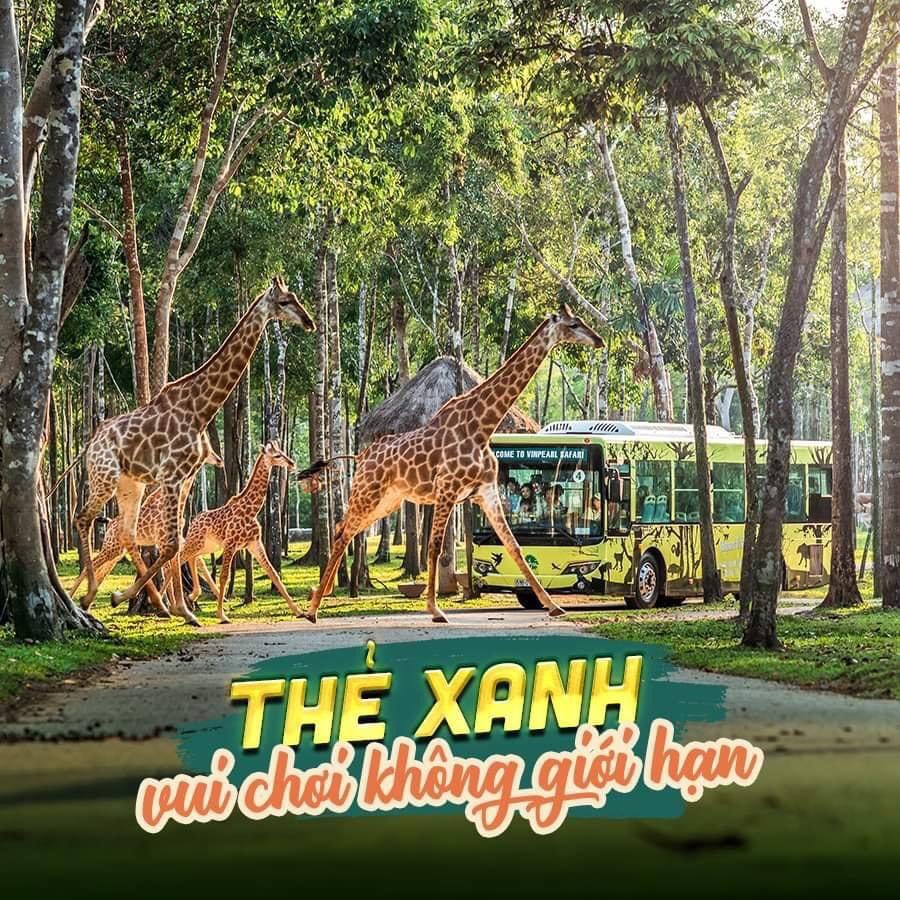 Vinpearl Safari Phú Quốc với thẻ xanh không giới hạn